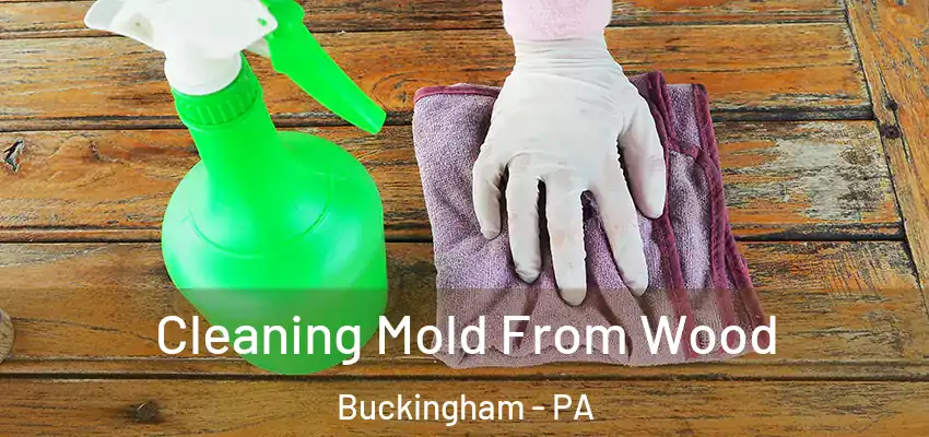 Cleaning Mold From Wood Buckingham - PA