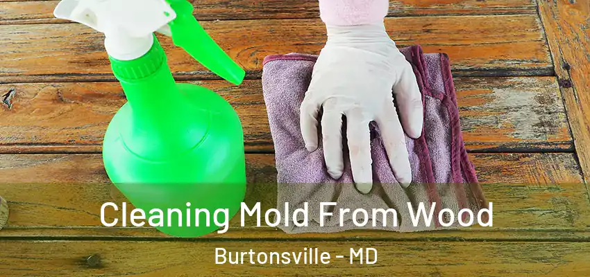  Cleaning Mold From Wood Burtonsville - MD