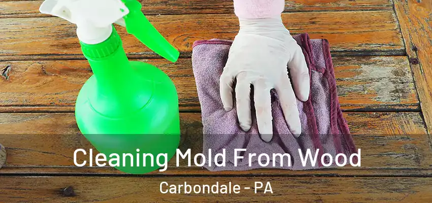 Cleaning Mold From Wood Carbondale - PA