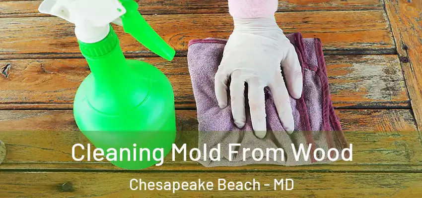  Cleaning Mold From Wood Chesapeake Beach - MD