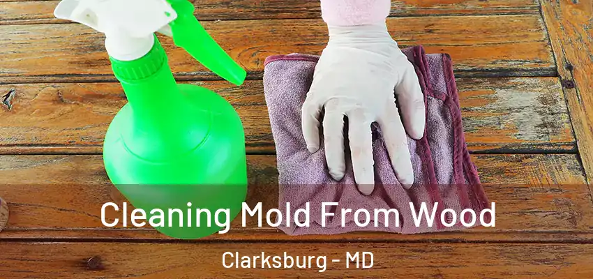  Cleaning Mold From Wood Clarksburg - MD