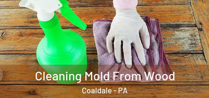  Cleaning Mold From Wood Coaldale - PA