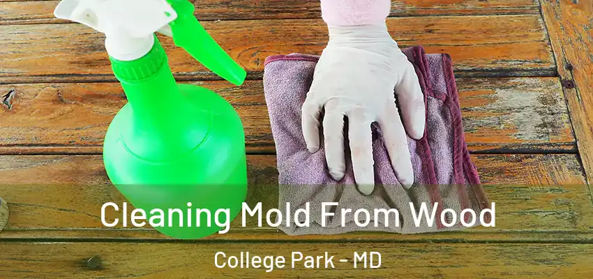  Cleaning Mold From Wood College Park - MD