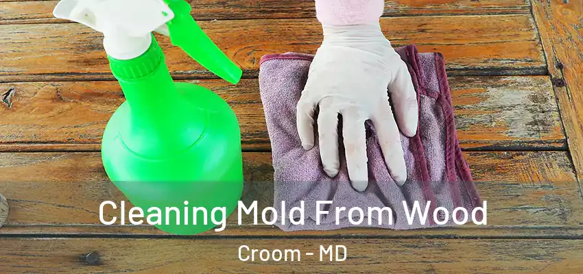  Cleaning Mold From Wood Croom - MD