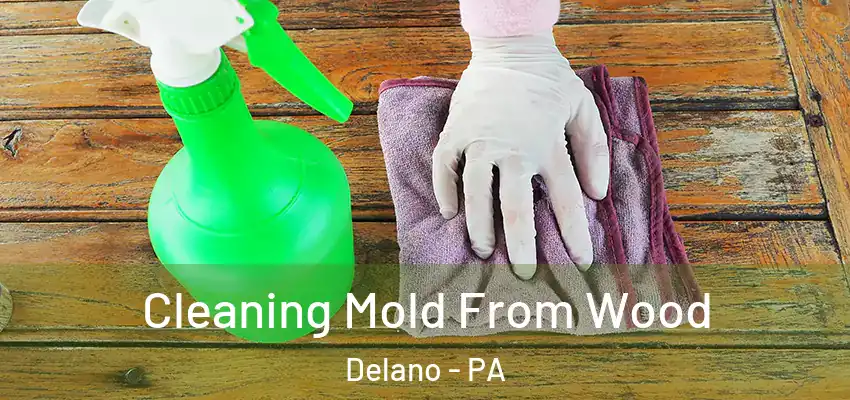  Cleaning Mold From Wood Delano - PA