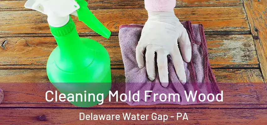 Cleaning Mold From Wood Delaware Water Gap - PA