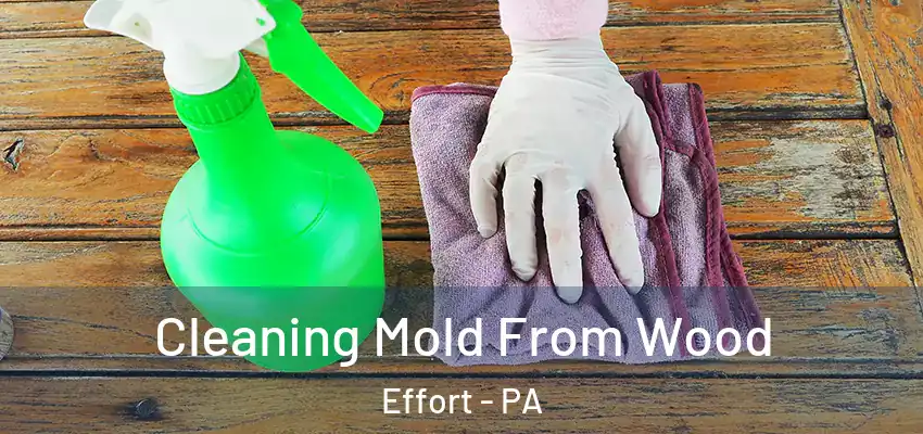 Cleaning Mold From Wood Effort - PA