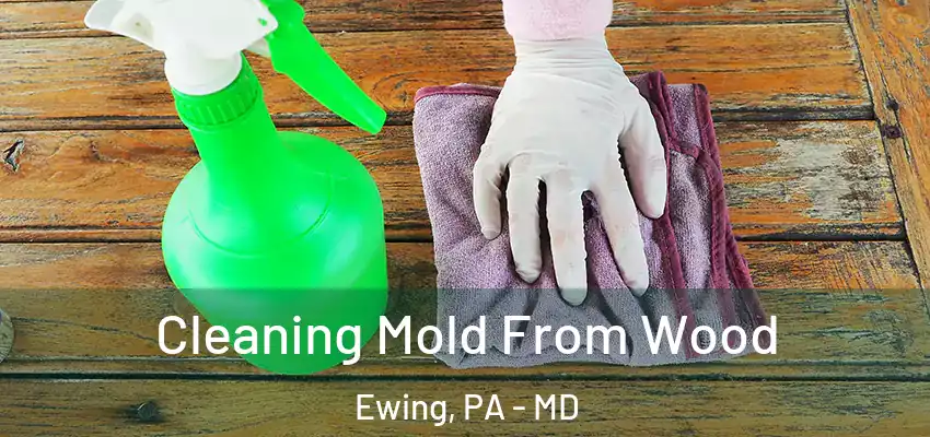 Cleaning Mold From Wood Ewing, PA - MD