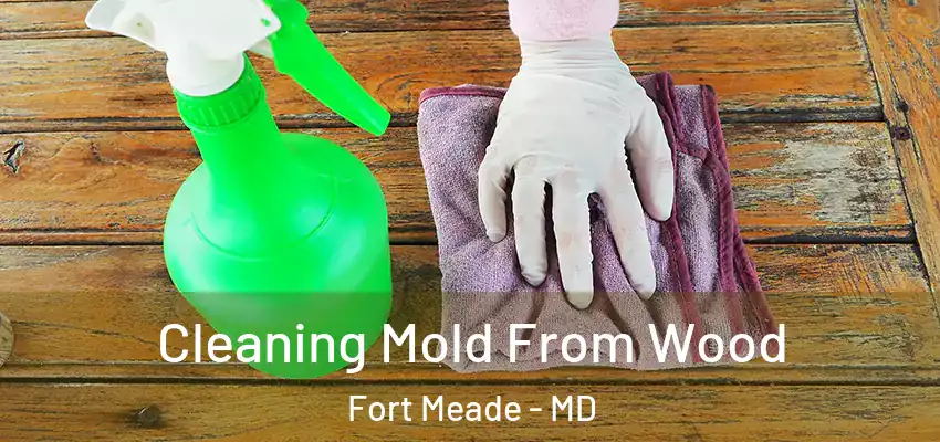 Cleaning Mold From Wood Fort Meade - MD