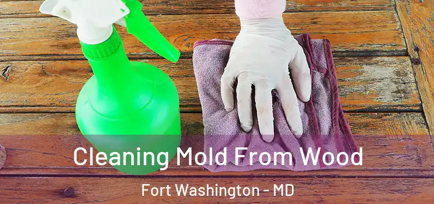 Cleaning Mold From Wood Fort Washington - MD