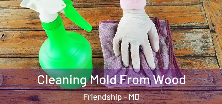 Cleaning Mold From Wood Friendship - MD