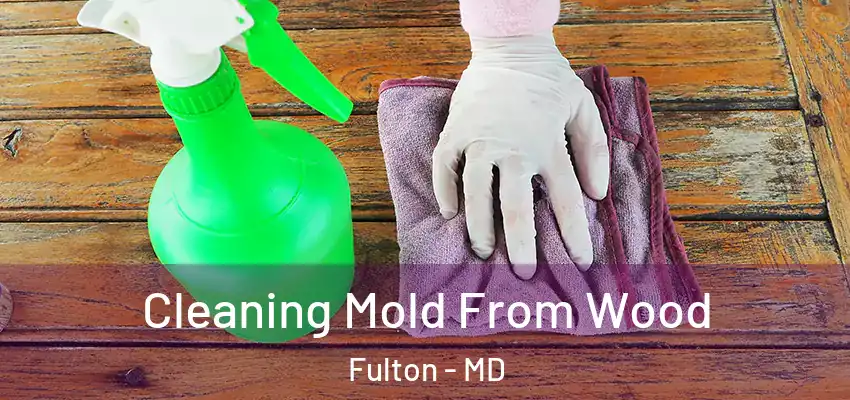 Cleaning Mold From Wood Fulton - MD