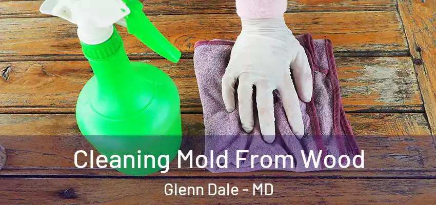 Cleaning Mold From Wood Glenn Dale - MD