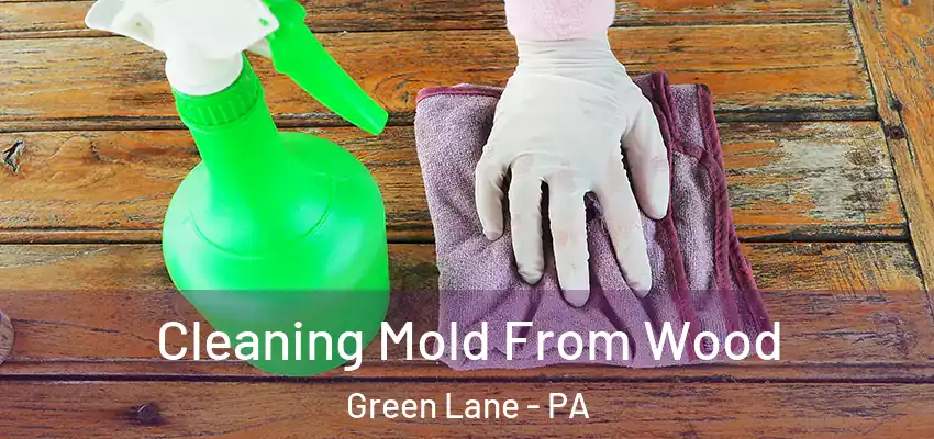 Cleaning Mold From Wood Green Lane - PA