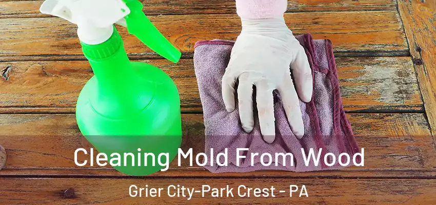 Cleaning Mold From Wood Grier City-Park Crest - PA