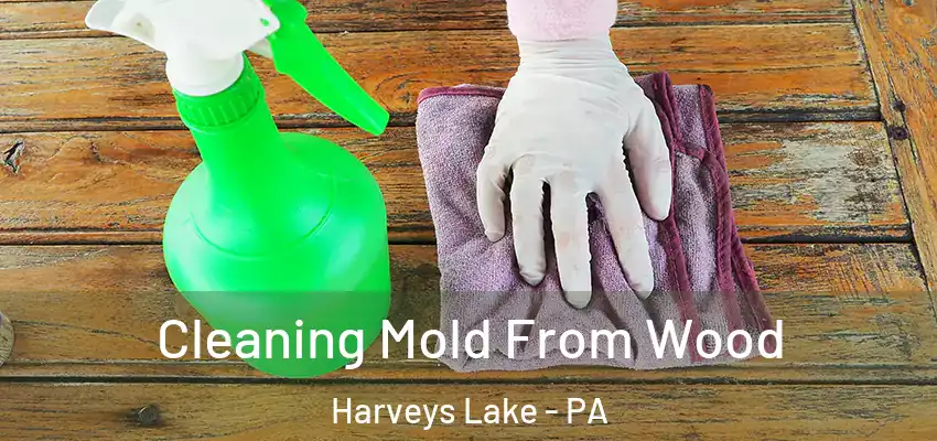 Cleaning Mold From Wood Harveys Lake - PA