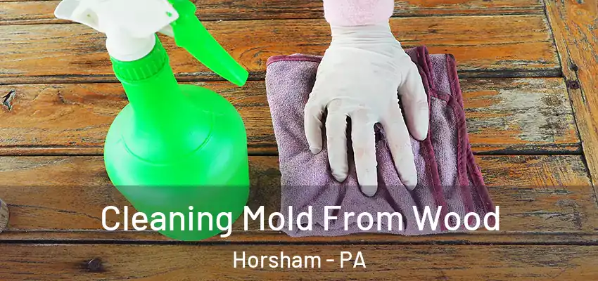  Cleaning Mold From Wood Horsham - PA