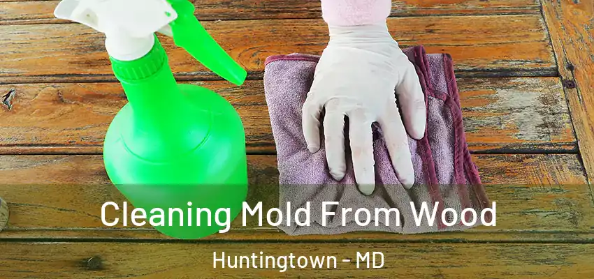 Cleaning Mold From Wood Huntingtown - MD