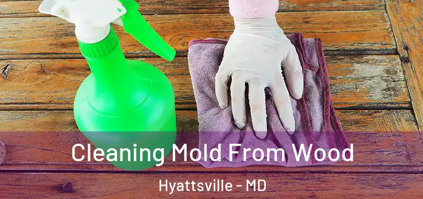 Cleaning Mold From Wood Hyattsville - MD
