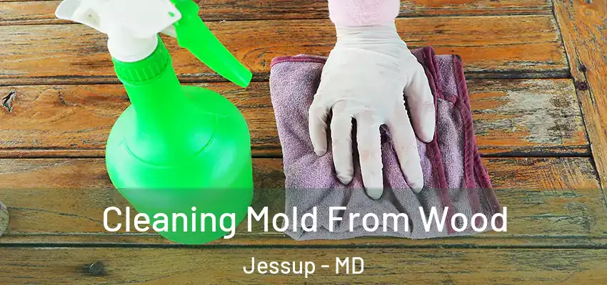 Cleaning Mold From Wood Jessup - MD