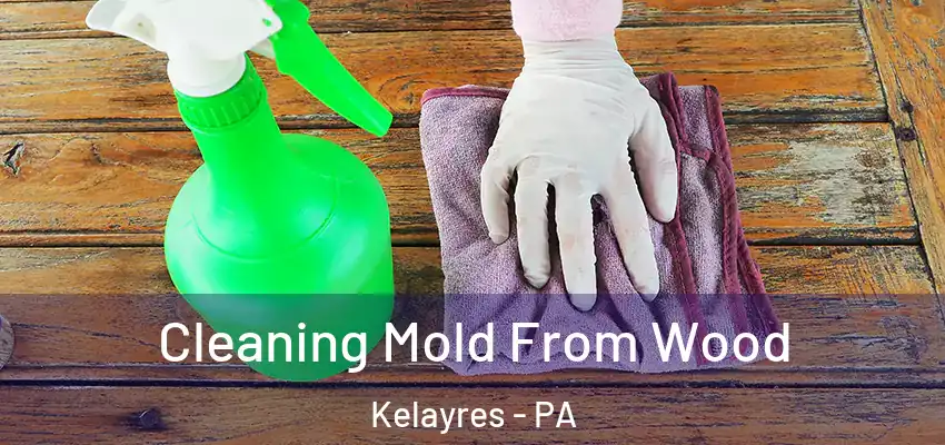 Cleaning Mold From Wood Kelayres - PA
