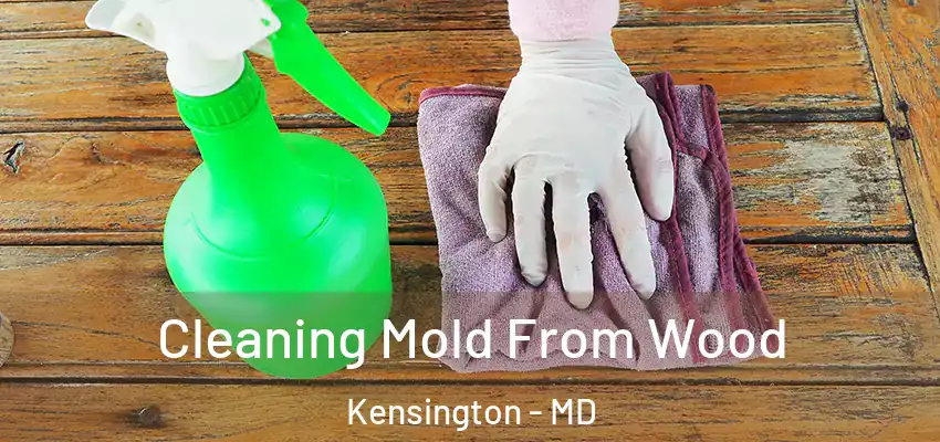  Cleaning Mold From Wood Kensington - MD