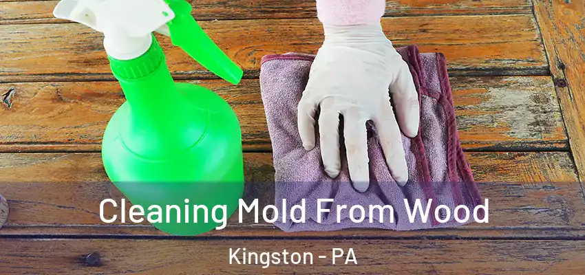  Cleaning Mold From Wood Kingston - PA
