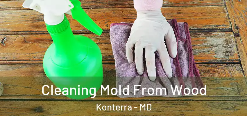  Cleaning Mold From Wood Konterra - MD
