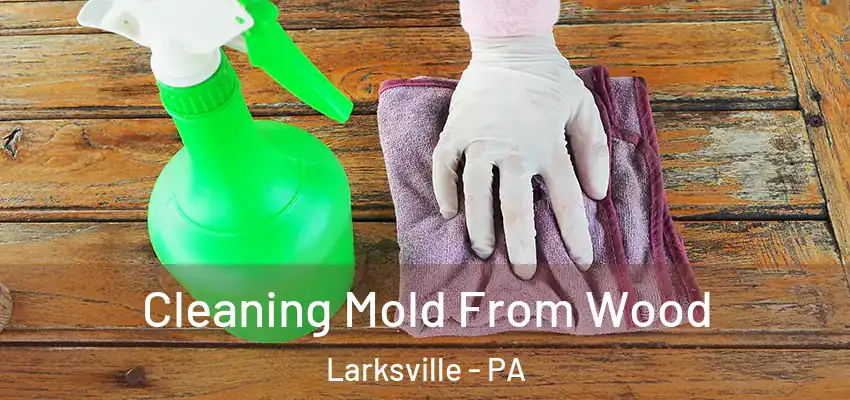 Cleaning Mold From Wood Larksville - PA