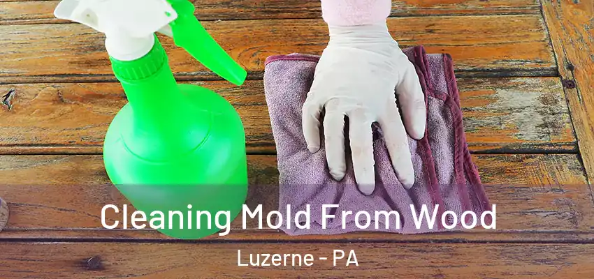 Cleaning Mold From Wood Luzerne - PA