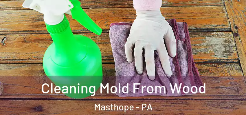 Cleaning Mold From Wood Masthope - PA
