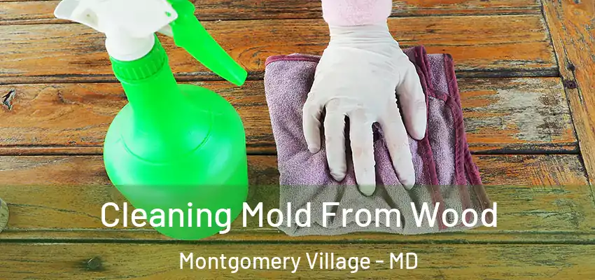 Cleaning Mold From Wood Montgomery Village - MD