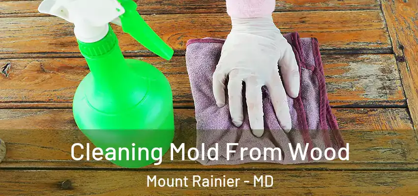 Cleaning Mold From Wood Mount Rainier - MD