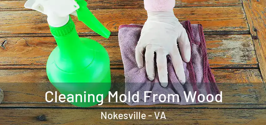 Cleaning Mold From Wood Nokesville - VA