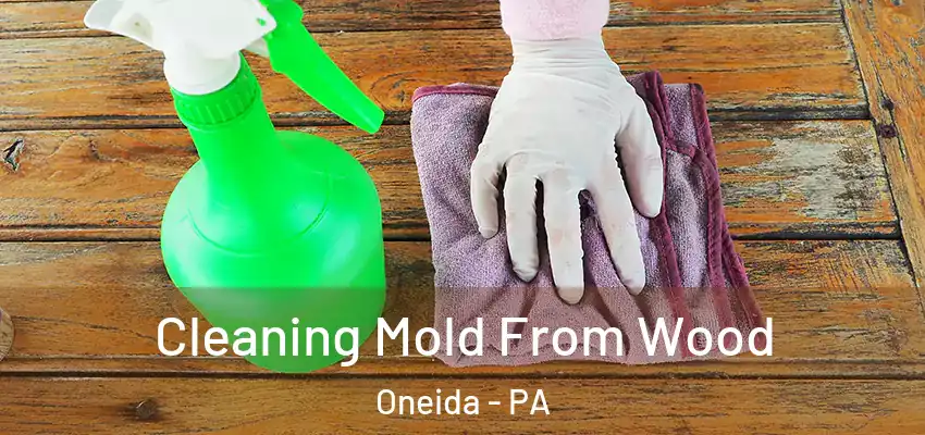 Cleaning Mold From Wood Oneida - PA