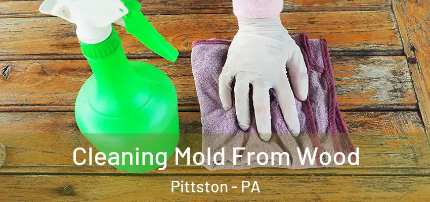 Cleaning Mold From Wood Pittston - PA
