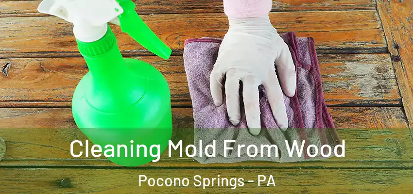 Cleaning Mold From Wood Pocono Springs - PA