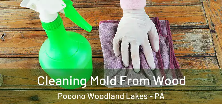 Cleaning Mold From Wood Pocono Woodland Lakes - PA