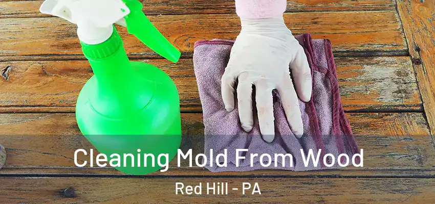 Cleaning Mold From Wood Red Hill - PA