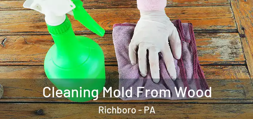 Cleaning Mold From Wood Richboro - PA