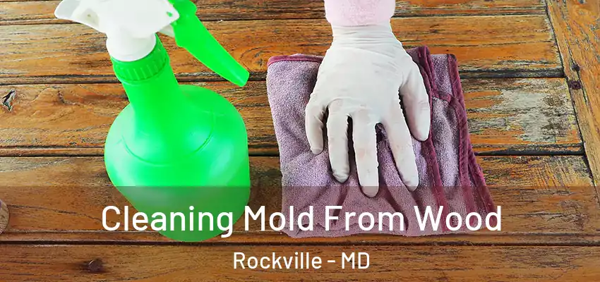 Cleaning Mold From Wood Rockville - MD
