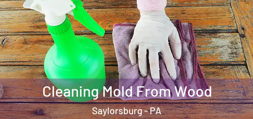 Cleaning Mold From Wood Saylorsburg - PA