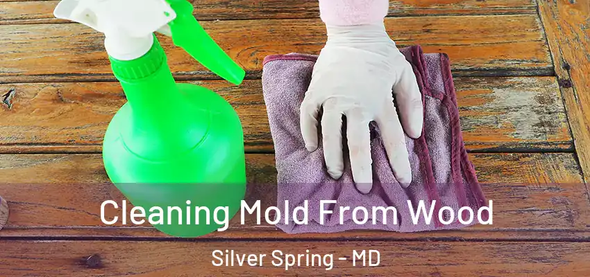 Cleaning Mold From Wood Silver Spring - MD