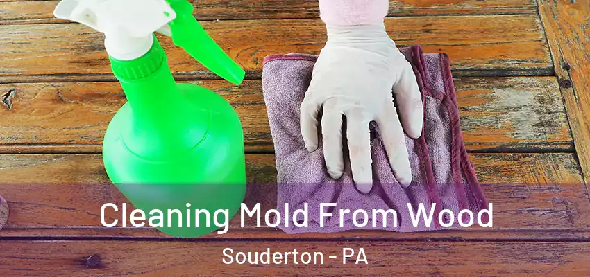  Cleaning Mold From Wood Souderton - PA