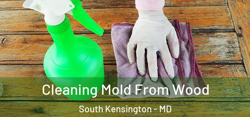 Cleaning Mold From Wood South Kensington - MD