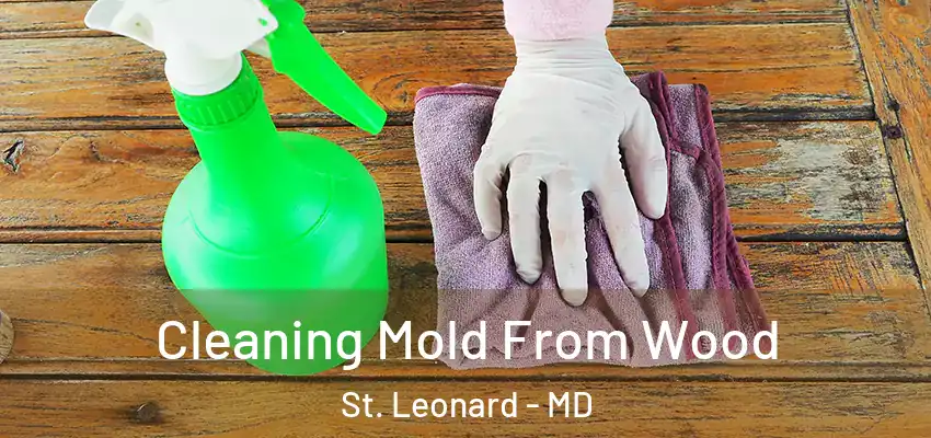  Cleaning Mold From Wood St. Leonard - MD