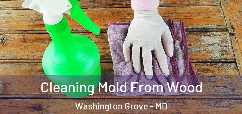 Cleaning Mold From Wood Washington Grove - MD
