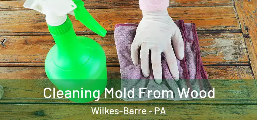 Cleaning Mold From Wood Wilkes-Barre - PA