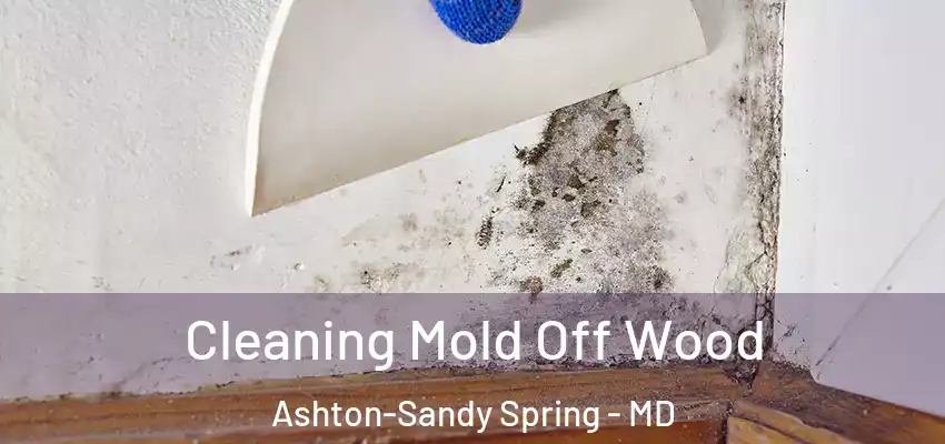  Cleaning Mold Off Wood Ashton-Sandy Spring - MD
