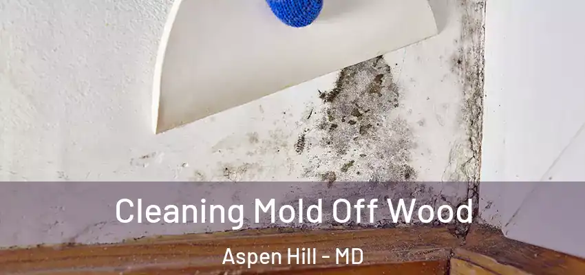  Cleaning Mold Off Wood Aspen Hill - MD